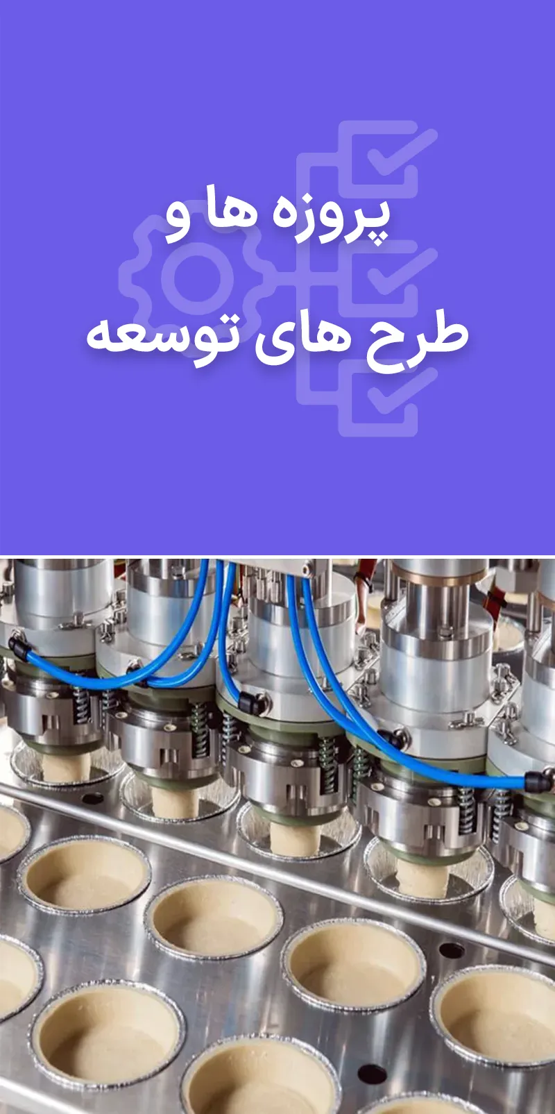 پروژه ها و طرح های توسعه شیرین نوین